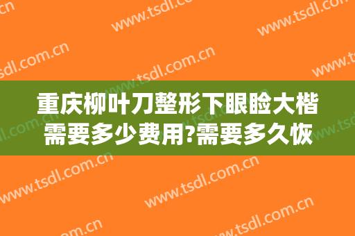 重庆柳叶刀整形下眼睑大楷需要多少费用?需要多久恢复?(重睑术要多少钱)