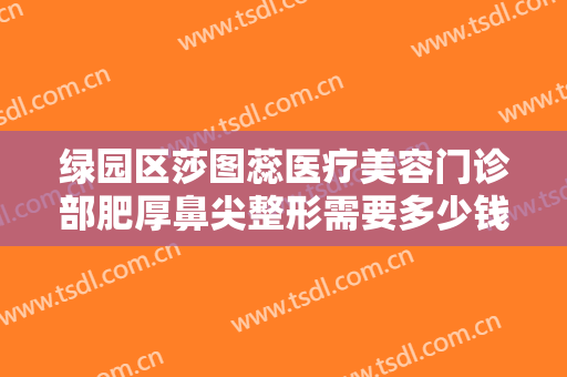 绿园区莎图蕊医疗美容门诊部肥厚鼻尖整形需要多少钱?可靠吗?