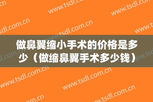 做鼻翼缩小手术的价格是多少（做缩鼻翼手术多少钱）(缩小鼻翼术大概多少钱)
