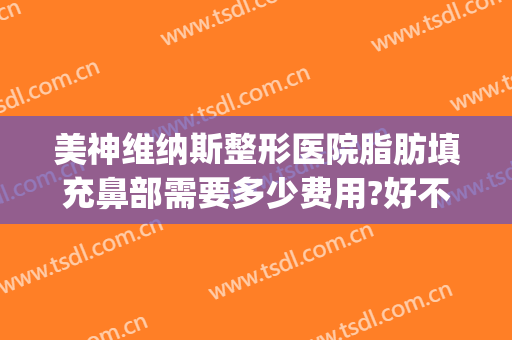 美神维纳斯整形医院脂肪填充鼻部需要多少费用?好不好?(泰美维纳斯整形医院)