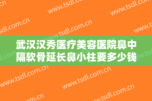 武汉汉秀医疗美容医院鼻中隔软骨延长鼻小柱要多少钱?怎么样?