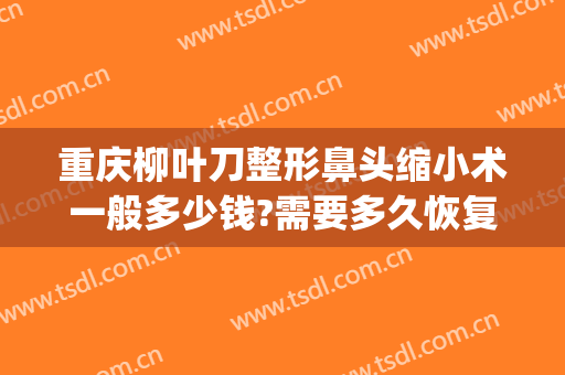 重庆柳叶刀整形鼻头缩小术一般多少钱?需要多久恢复?(重庆缩小鼻翼手术一般多少钱当代官网是什么呢)