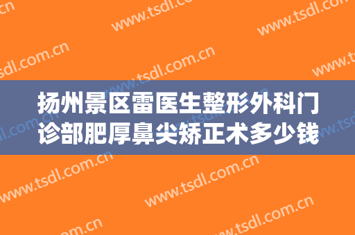 扬州景区雷医生整形外科门诊部肥厚鼻尖矫正术多少钱?可靠吗?(扬州市雷医生整形地址)