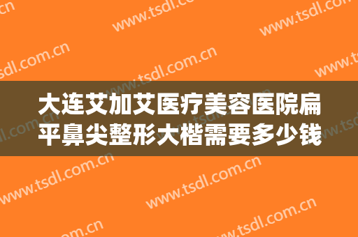 大连艾加艾医疗美容医院扁平鼻尖整形大楷需要多少钱?靠谱吗?(艾美整形美容医院怎么样)
