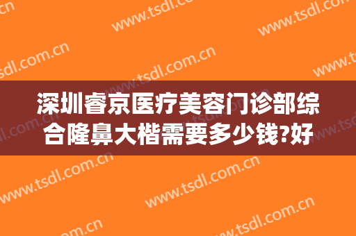 深圳睿京医疗美容门诊部综合隆鼻大楷需要多少钱?好不好?(北京睿雅美医疗美容医院)