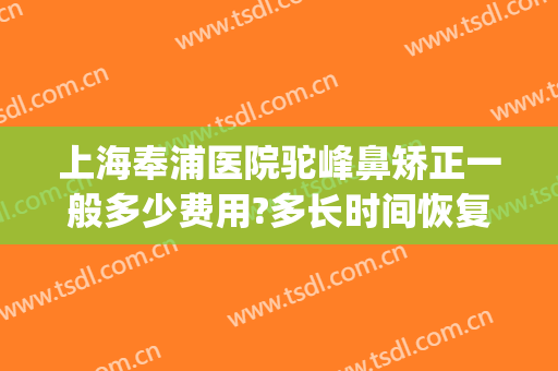 上海奉浦医院驼峰鼻矫正一般多少费用?多长时间恢复?(驼峰鼻矫正多久恢复)