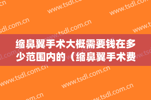 缩鼻翼手术大概需要钱在多少范围内的（缩鼻翼手术费）(鼻翼缩小手术大概要花多少钱)