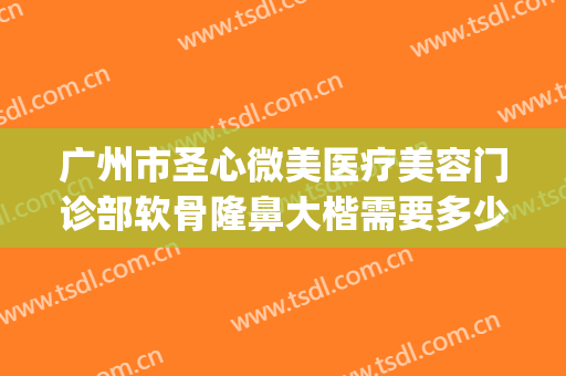 广州市圣心微美医疗美容门诊部软骨隆鼻大楷需要多少费用?可靠吗?(广州圣心医疗整形医院)