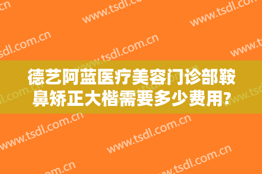 德艺阿蓝医疗美容门诊部鞍鼻矫正大楷需要多少费用?怎么样?