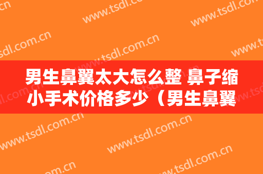 男生鼻翼太大怎么整 鼻子缩小手术价格多少（男生鼻翼缩小手术的多吗）