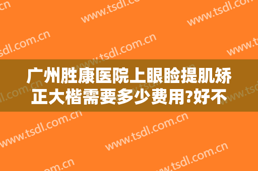 广州胜康医院上眼睑提肌矫正大楷需要多少费用?好不好?