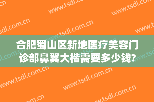 合肥蜀山区新地医疗美容门诊部鼻翼大楷需要多少钱?贵不贵?(合肥蜀山区美容院)