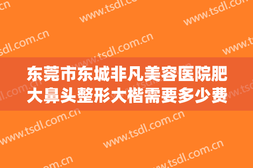 东莞市东城非凡美容医院肥大鼻头整形大楷需要多少费用?靠谱吗?(东莞哪家整形医院做鼻子好)