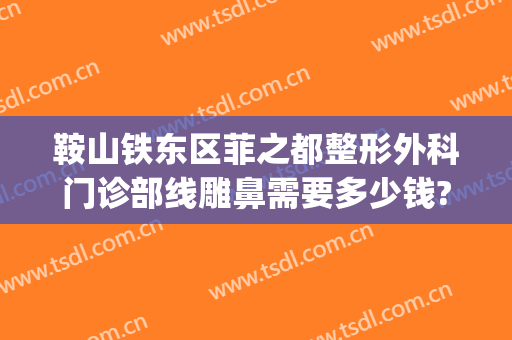 鞍山铁东区菲之都整形外科门诊部线雕鼻需要多少钱?可靠吗?(鞍鼻整形一般多少钱)