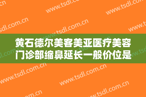黄石德尔美客美亚医疗美容门诊部缩鼻延长一般价位是多少费用?可靠吗?