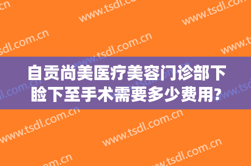 自贡尚美医疗美容门诊部下睑下至手术需要多少费用?怎么样?(自贡尚美整形医院电话)