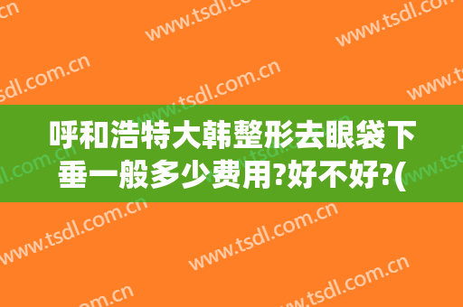 呼和浩特大韩整形去眼袋下垂一般多少费用?好不好?(韩美整形美容医院去眼袋怎么样)