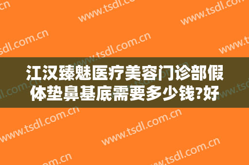 江汉臻魅医疗美容门诊部假体垫鼻基底需要多少钱?好不好?