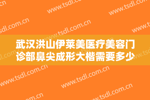 武汉洪山伊莱美医疗美容门诊部鼻尖成形大楷需要多少费用?可靠吗?