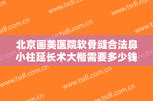 北京画美医院软骨缝合法鼻小柱延长术大楷需要多少钱?可靠吗?