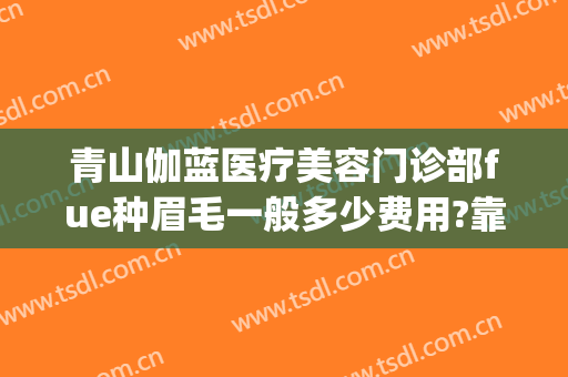 青山伽蓝医疗美容门诊部fue种眉毛一般多少费用?靠谱吗?(武汉种眉毛最好的医院)