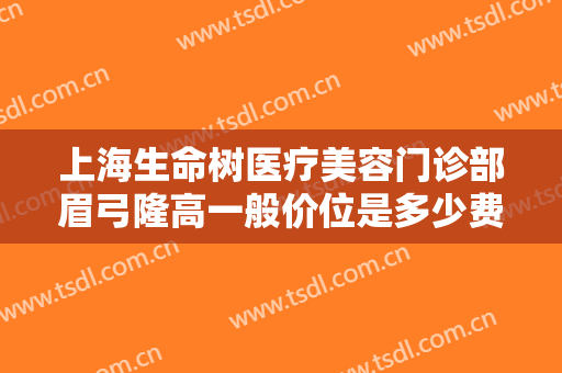 上海生命树医疗美容门诊部眉弓隆高一般价位是多少费用?怎么样?