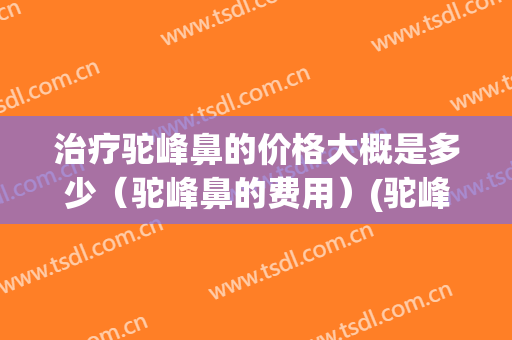 治疗驼峰鼻的价格大概是多少（驼峰鼻的费用）(驼峰鼻矫正手术)