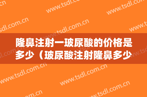 隆鼻注射一玻尿酸的价格是多少（玻尿酸注射隆鼻多少钱一次）(玻璃尿酸隆鼻多少钱一支)