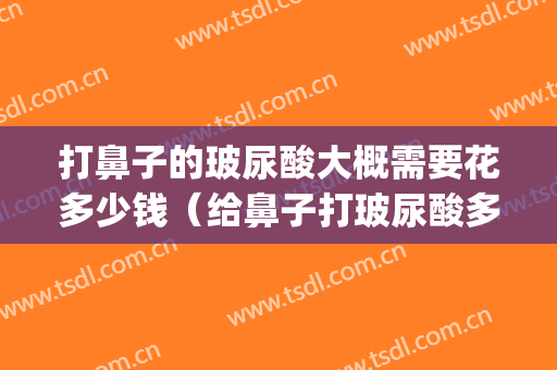 打鼻子的玻尿酸大概需要花多少钱（给鼻子打玻尿酸多少钱）(打玻尿酸整鼻子多少钱)