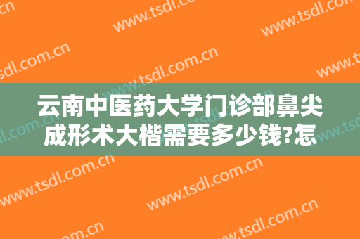 云南中医药大学门诊部鼻尖成形术大楷需要多少钱?怎么样?