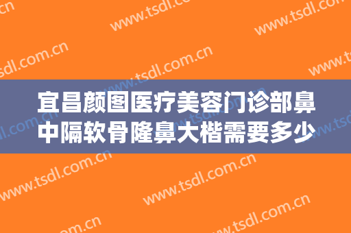 宜昌颜图医疗美容门诊部鼻中隔软骨隆鼻大楷需要多少费用?可靠吗?(宽鼻整形价格)