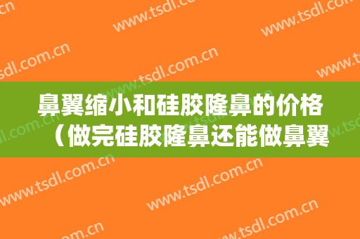 鼻翼缩小和硅胶隆鼻的价格（做完硅胶隆鼻还能做鼻翼缩小）(鼻翼缩小加假体隆鼻多少钱)