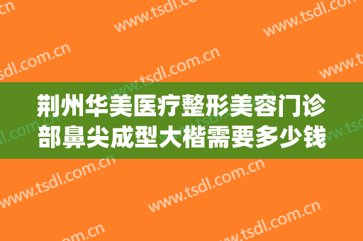荆州华美医疗整形美容门诊部鼻尖成型大楷需要多少钱?靠谱吗?(荆州鼻头整形费用)