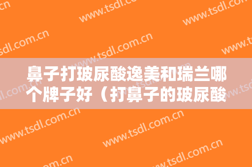 鼻子打玻尿酸逸美和瑞兰哪个牌子好（打鼻子的玻尿酸一般什么牌子的好）