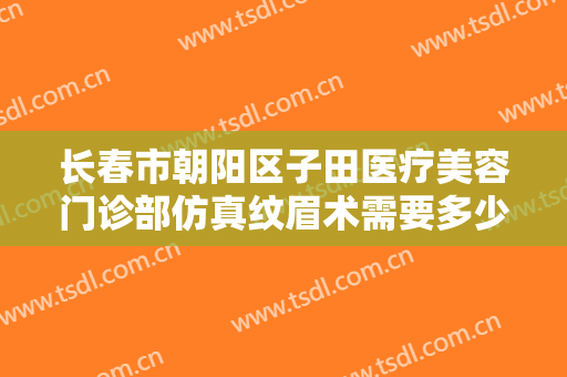 长春市朝阳区子田医疗美容门诊部仿真纹眉术需要多少费用?贵不贵?