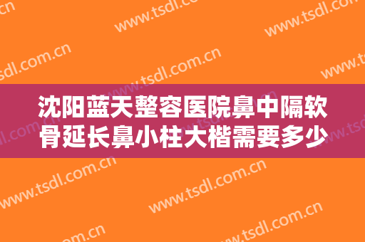 沈阳蓝天整容医院鼻中隔软骨延长鼻小柱大楷需要多少钱?贵不贵?