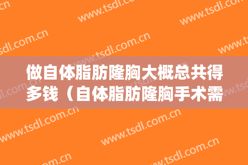 做自体脂肪隆胸大概总共得多钱（自体脂肪隆胸手术需要多少钱）(自体脂肪隆胸一次多少钱)