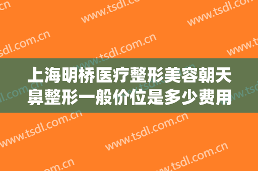 上海明桥医疗整形美容朝天鼻整形一般价位是多少费用?好不好?(上海好的隆鼻整形医院)