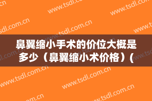 鼻翼缩小手术的价位大概是多少（鼻翼缩小术价格）(缩小鼻翼术大概多少钱)