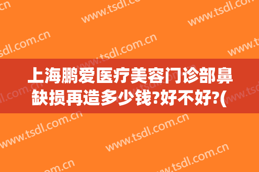 上海鹏爱医疗美容门诊部鼻缺损再造多少钱?好不好?(鹏爱医疗 整形失败)
