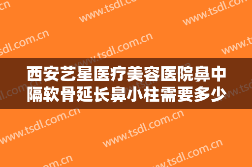 西安艺星医疗美容医院鼻中隔软骨延长鼻小柱需要多少钱?好不好?