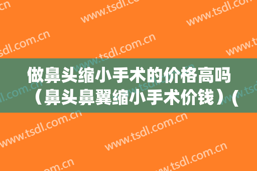 做鼻头缩小手术的价格高吗（鼻头鼻翼缩小手术价钱）(做个鼻头缩小手术多少钱)