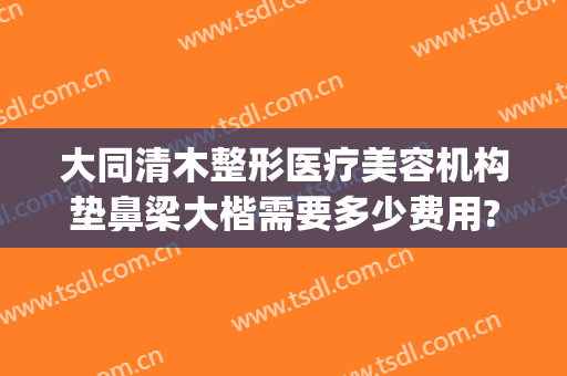 大同清木整形医疗美容机构垫鼻梁大楷需要多少费用?好不好?(大同清木整形医院专家有哪些)