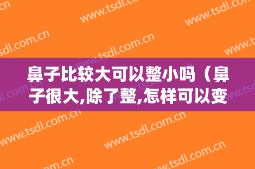 鼻子比较大可以整小吗（鼻子很大,除了整,怎样可以变小?）(鼻翼大可以整小吗)
