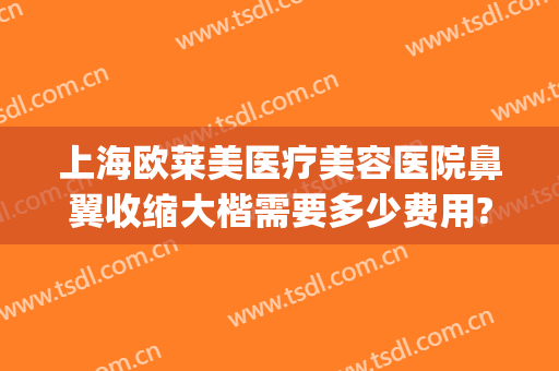 上海欧莱美医疗美容医院鼻翼收缩大楷需要多少费用?怎么样?(上海鼻梁整形要多少钱)