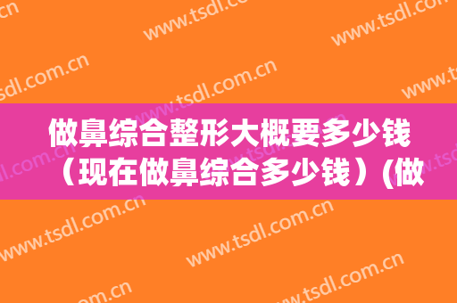 做鼻综合整形大概要多少钱（现在做鼻综合多少钱）(做个鼻综合大概需要多少钱)