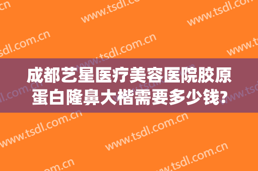 成都艺星医疗美容医院胶原蛋白隆鼻大楷需要多少钱?好不好?(艺星整形医院成都)
