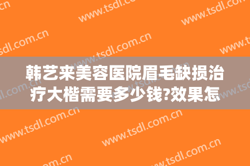 韩艺来美容医院眉毛缺损治疗大楷需要多少钱?效果怎么样?(韩致整形医院怎么样)