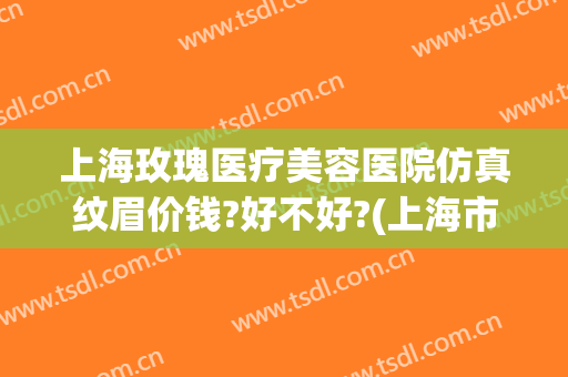 上海玫瑰医疗美容医院仿真纹眉价钱?好不好?(上海市玫瑰美容医院怎么样)