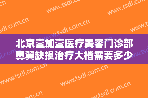 北京壹加壹医疗美容门诊部鼻翼缺损治疗大楷需要多少费用?好不好?
